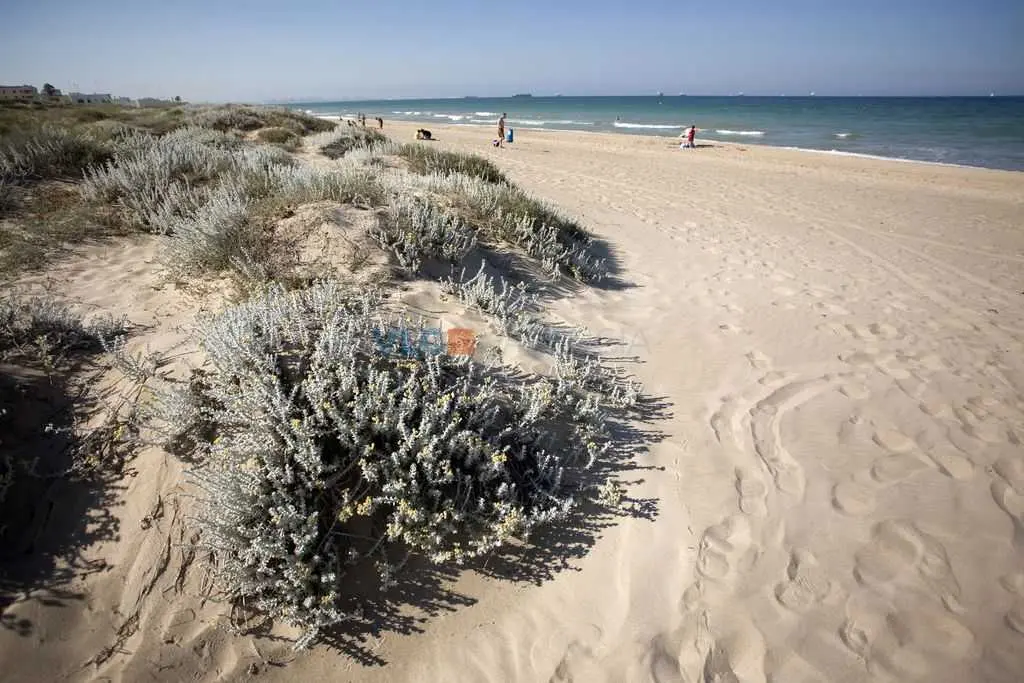Enfado en Valencia por la p&eacute;rdida de la Bandera Azul en la playa de l'Arbre del Gos