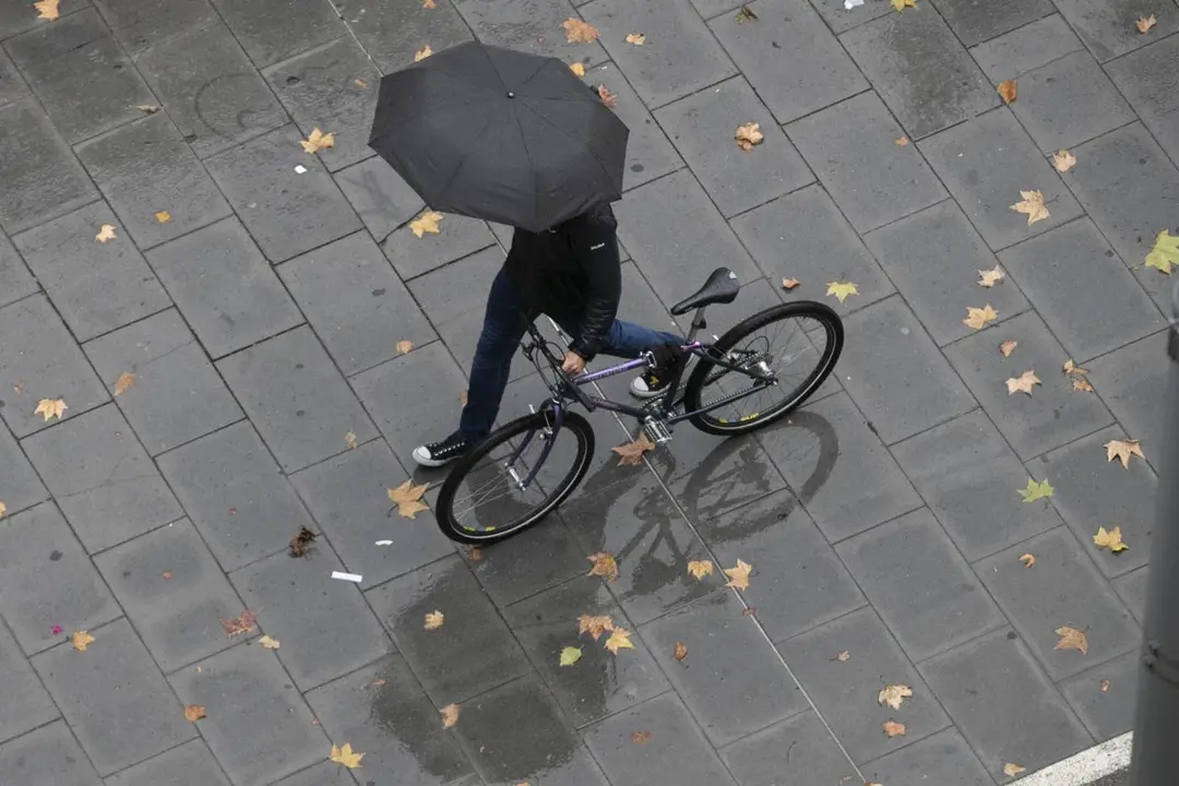 Lluvia por la borrasca Ciar&aacute;n. - EFE/Javier Cebollada