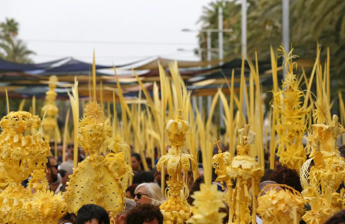 Miles de personas con la tradicional palma blanca en Elche. - EFE/Manuel Lorenzo