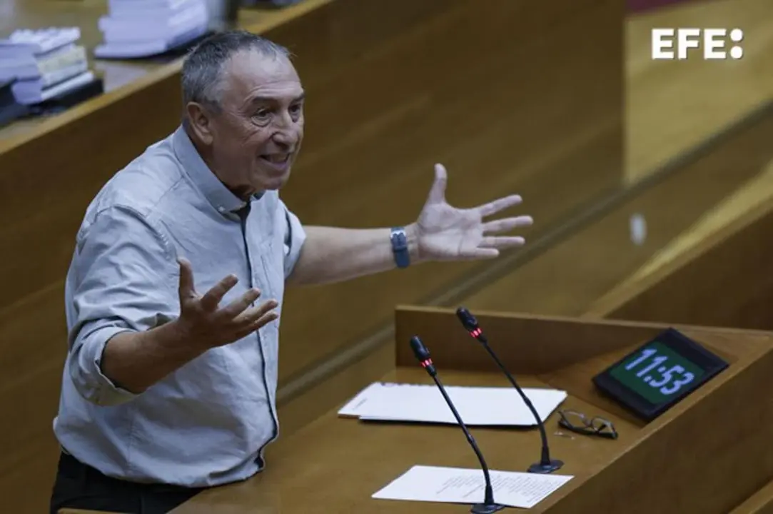 El diputado de Comprom&iacute;s Joan Baldov&iacute;. - EFE/Biel Ali&ntilde;o