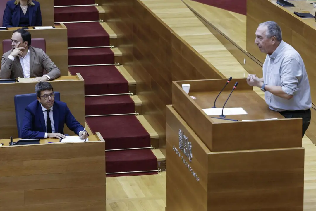 El diputado de Comprom&iacute;s Joan Baldov&iacute;. - Biel Ali&ntilde;o - EFE