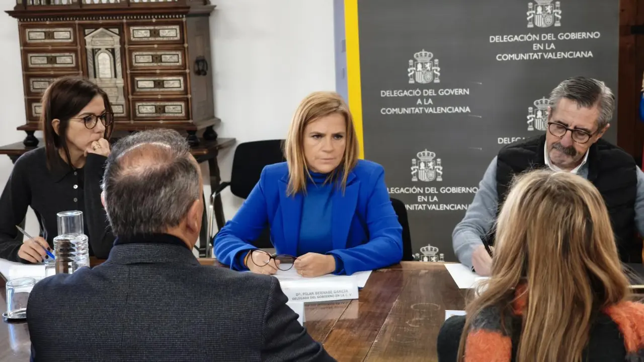 La delegada del Gobierno en la Comunitat Valenciana, Pilar Bernab&eacute;. - DELEGACI&Oacute;N DE GOBIERNO