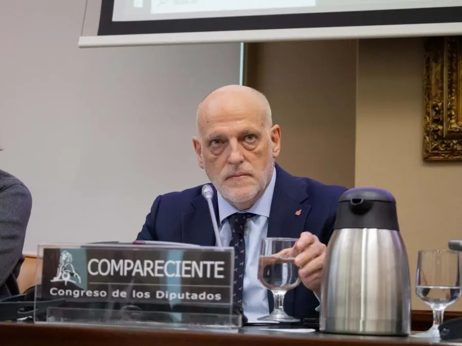 Javier Tebas durante la comparecencia. - Congreso de los Diputados