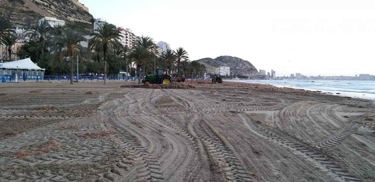 Playa del Postiguet en Alicante - AYTO DE ALICANTE