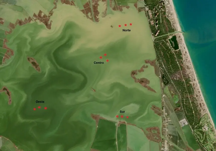 Mapa con la ubicaci&oacute;n en la Albufera de las doce muestras obtenidas. - UV