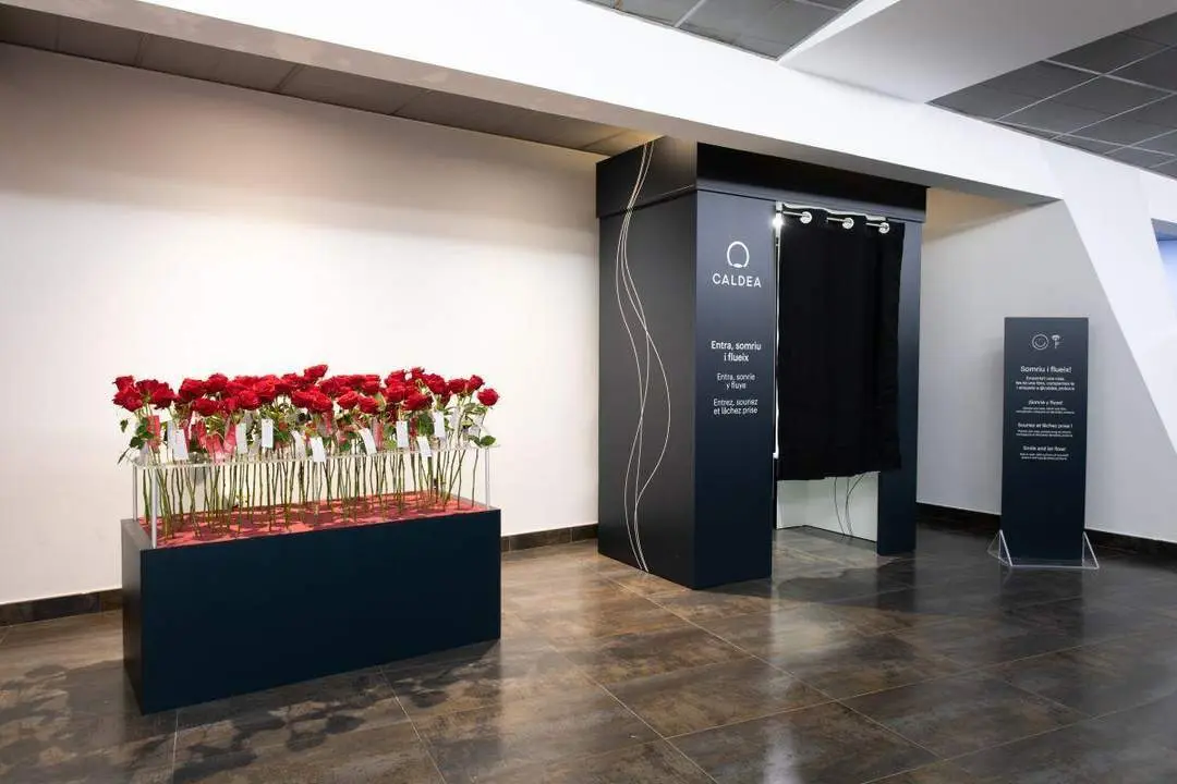 El 'jard&iacute;n de rosas' de Caldea. - 