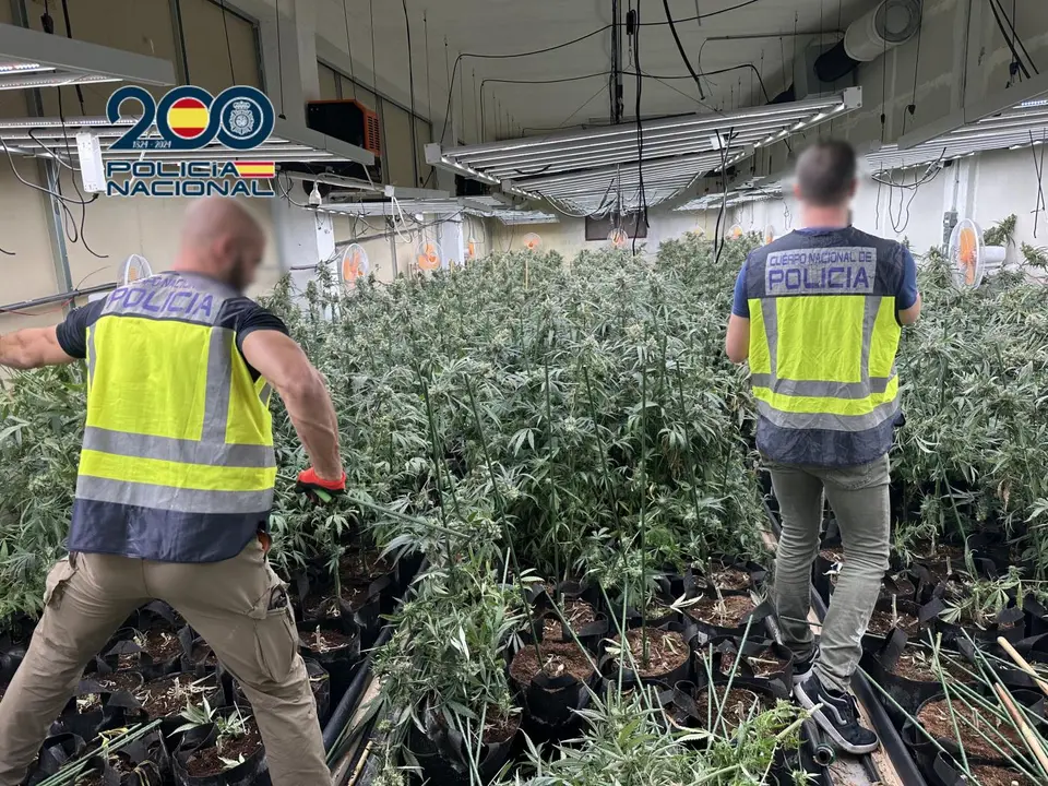 Tres detenidos e intervenidos 45 kilos de marihuana - POLIC&Iacute;A NACIONAL