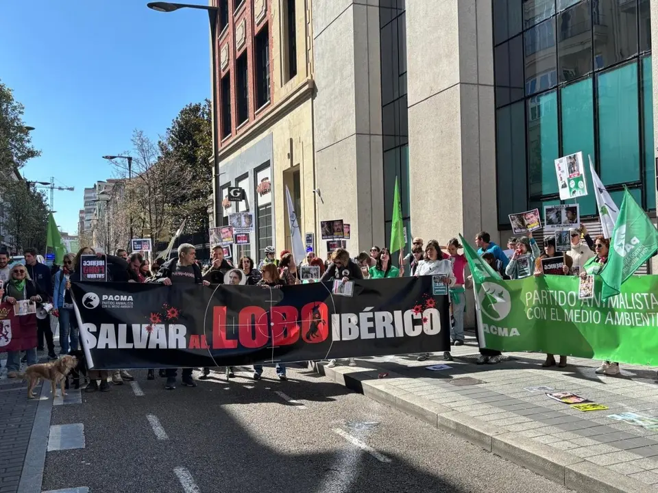 Manifestaci&oacute;n en contra de la caza del lobo ib&eacute;rico - EUROPA PRESS