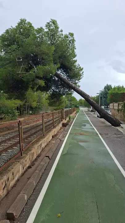 La ca&iacute;da de un &aacute;rbol sobre las v&iacute;as de la l&iacute;nea 2 de Metrovalencia provoca la interrupci&oacute;n de la circulaci&oacute;n entre Paterna y Ll&iacute;ria | FGV