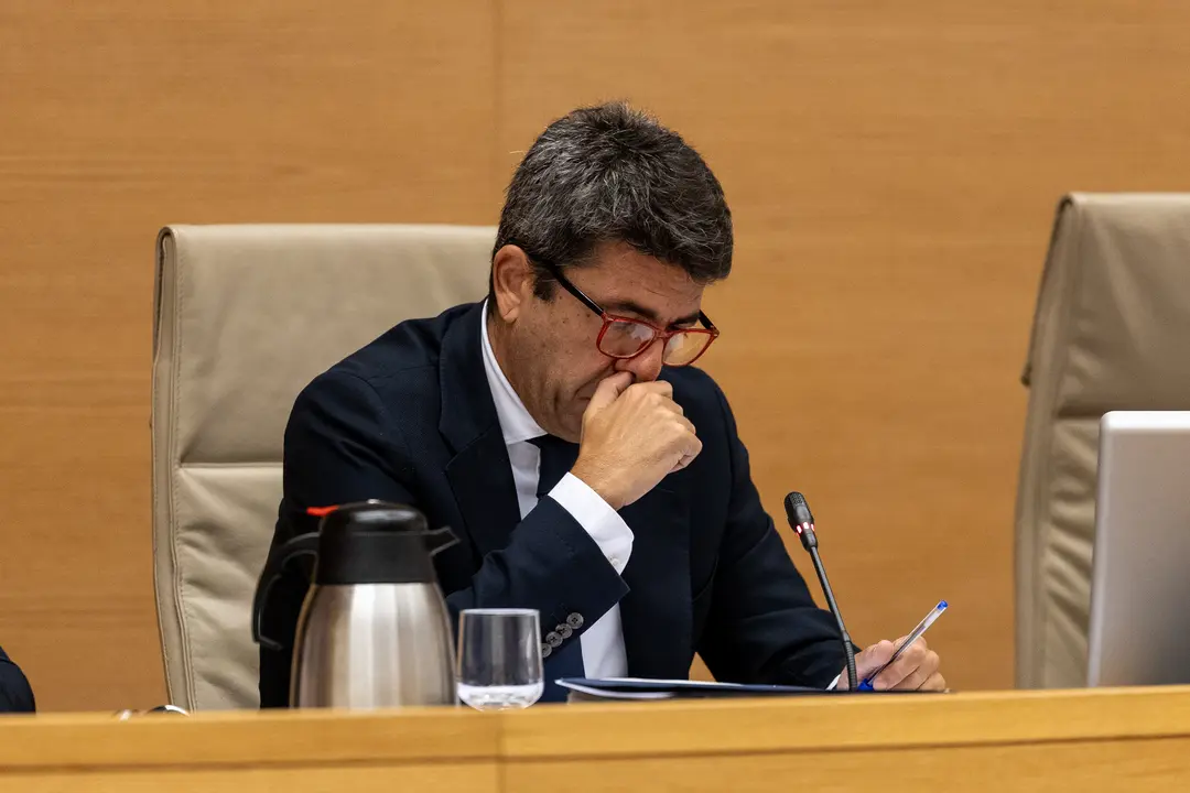 Carlos Maz&oacute;n. | Europa Press.