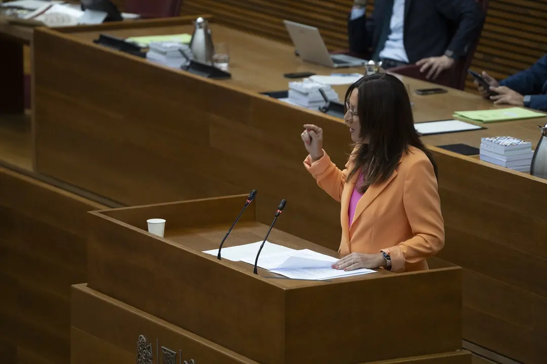 La portavoz de Justicia del PSPV-PSOE en Les Corts, Alicia And&uacute;jar. | EP