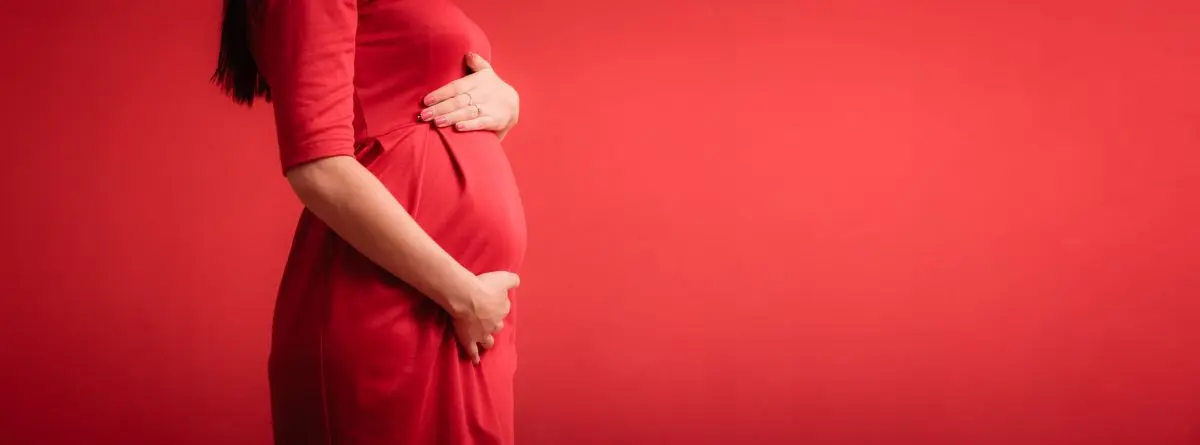 Mujer embarazada | Foto de 123RF/akz