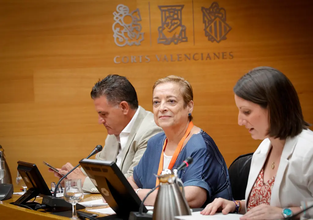 La exconcejala de Alicante Sof&iacute;a Morales comparece en la comisi&oacute;n de las VPP. | Europa Press