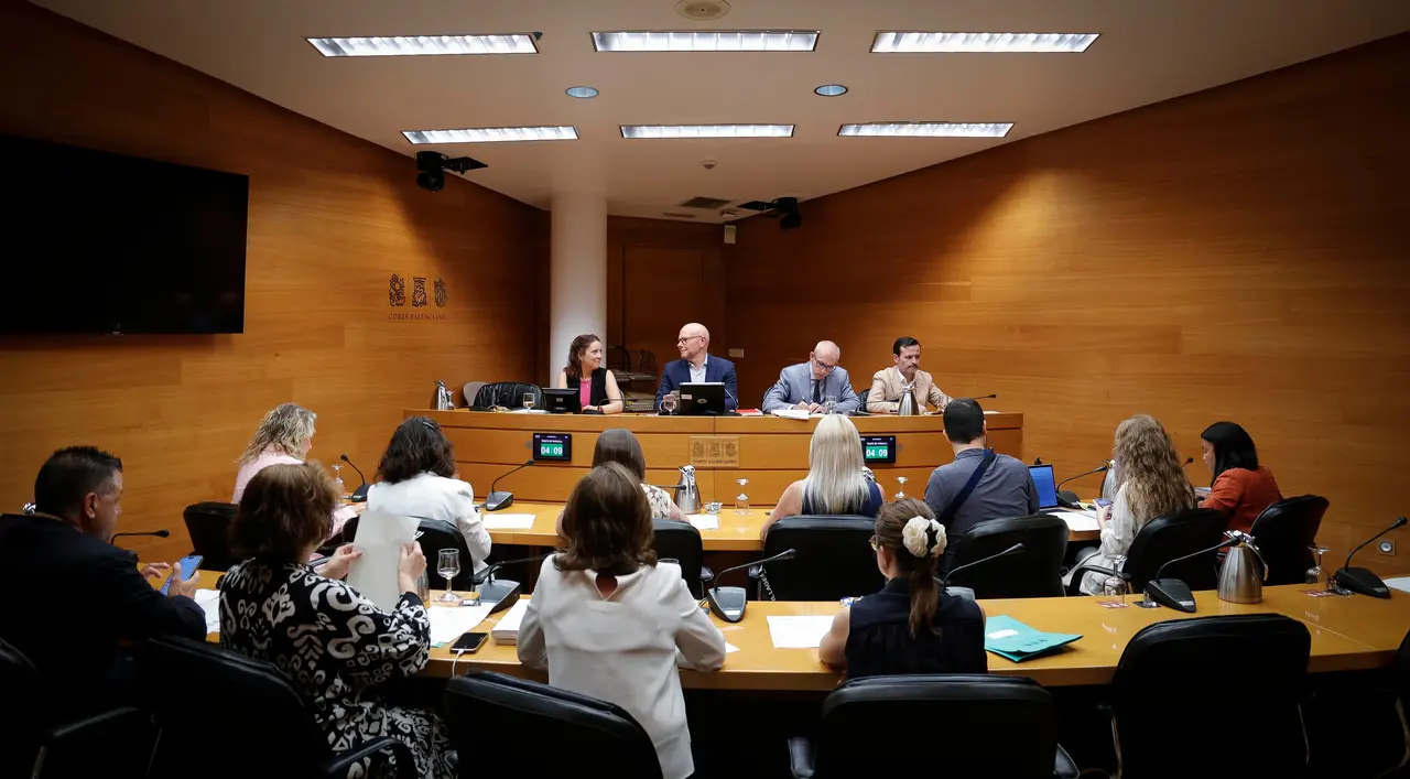 Comisi&oacute;n de Econom&iacute;a, Presupuestos y Hacienda de Les Corts. | Europa Press