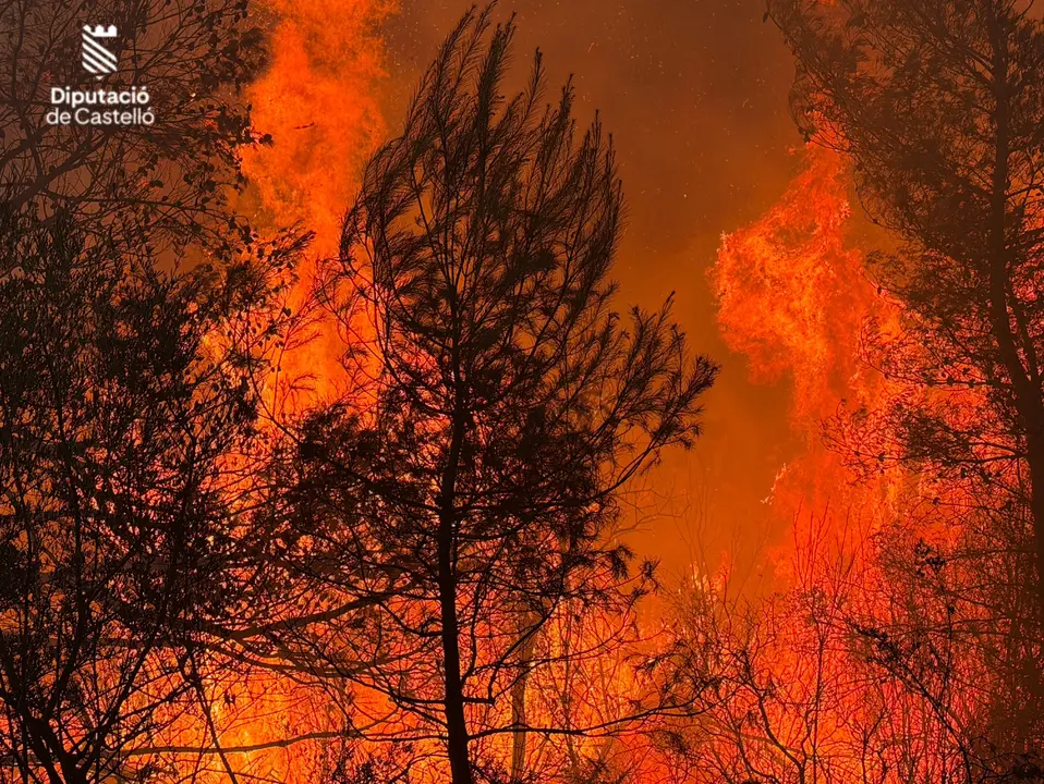 Incendio forestal declarado en la localidad castellonense de la Vall d'Uix&oacute;. | Europa Press.