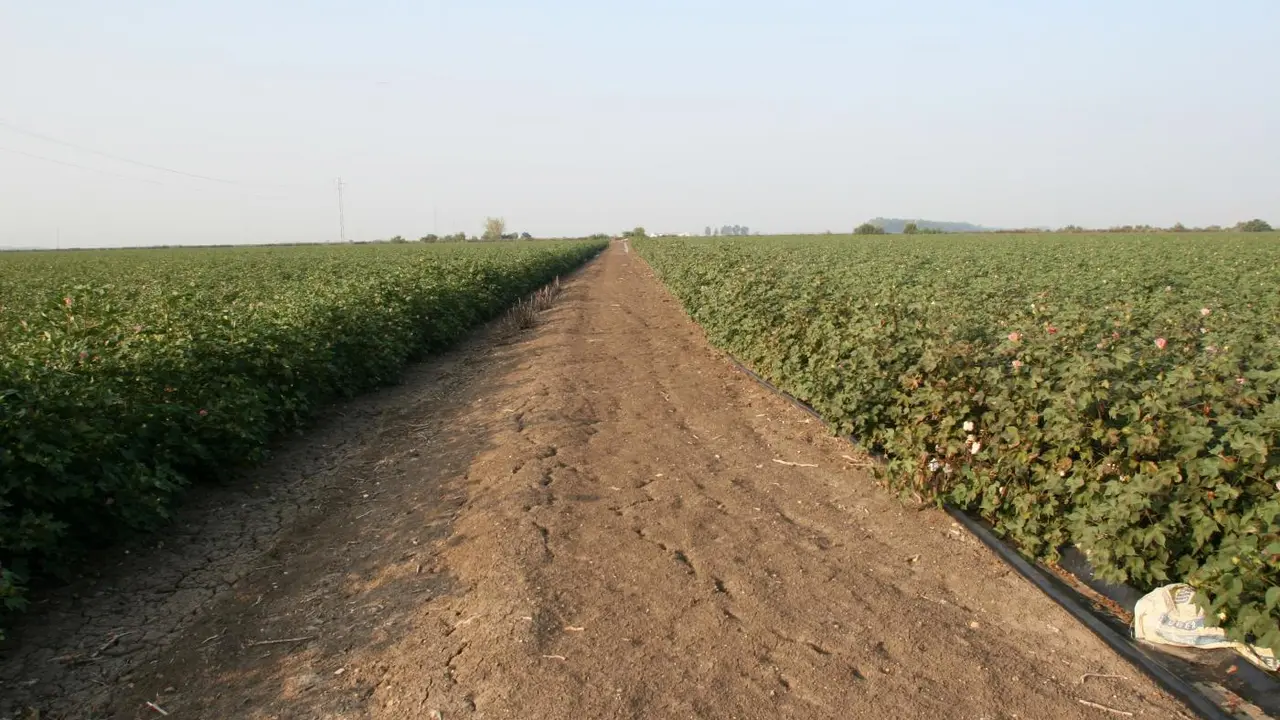 Sequ&iacute;a en el campo. - Archivo