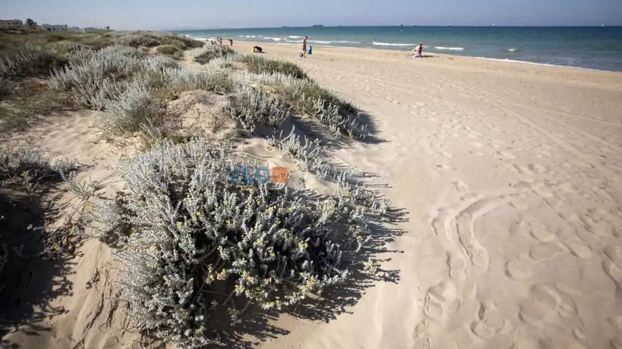 Enfado en Valencia por la p&eacute;rdida de la Bandera Azul en la playa de l'Arbre del Gos