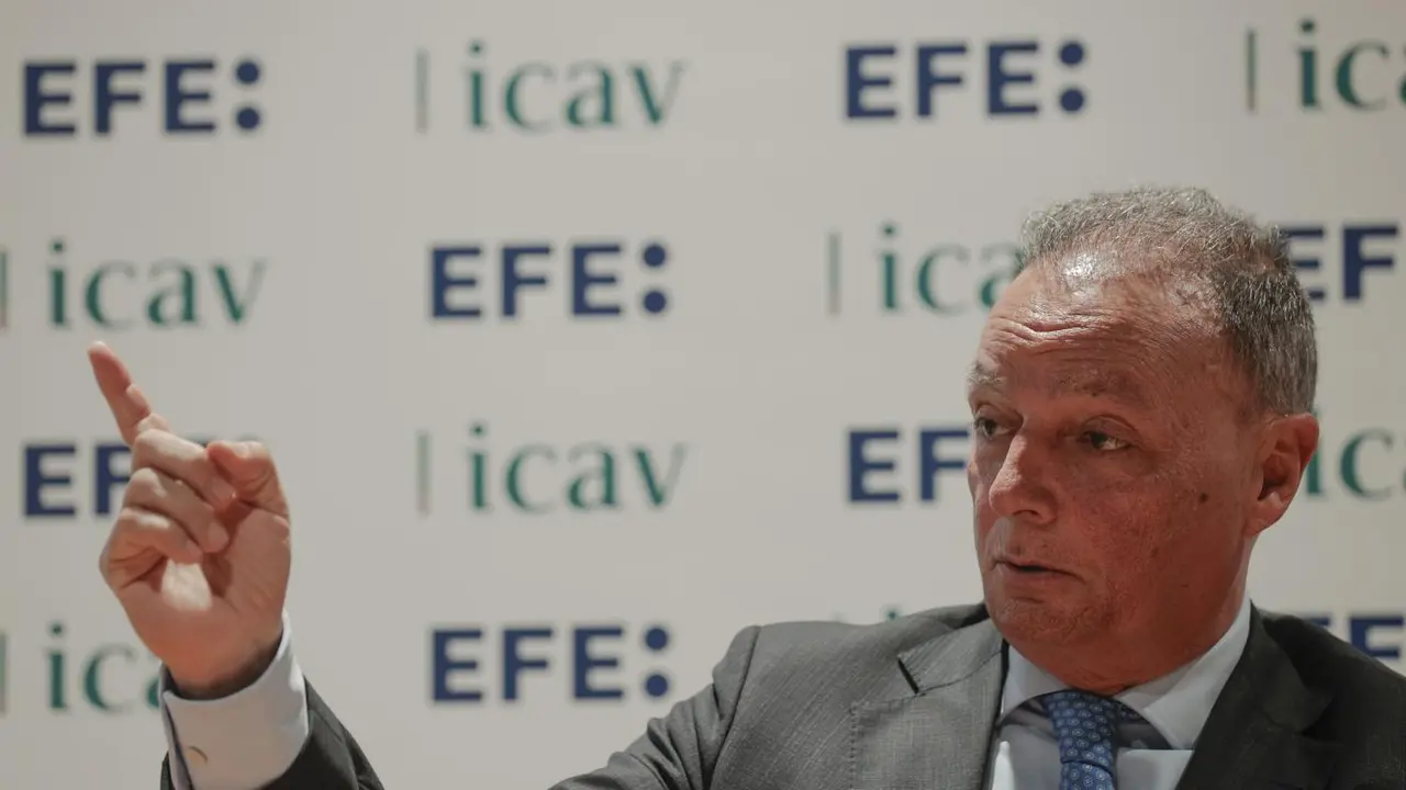 Salvador Navarro. - EFE