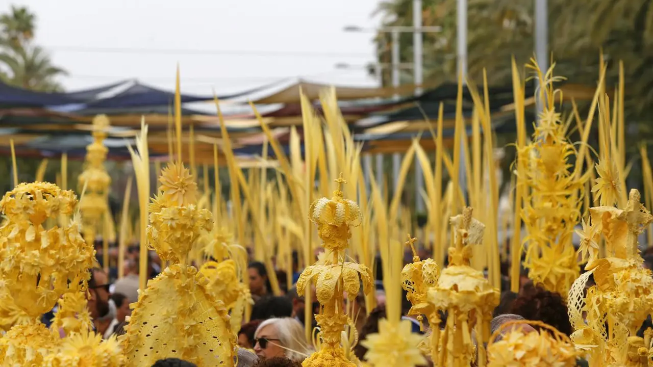 Miles de personas con la tradicional palma blanca en Elche. - EFE/Manuel Lorenzo