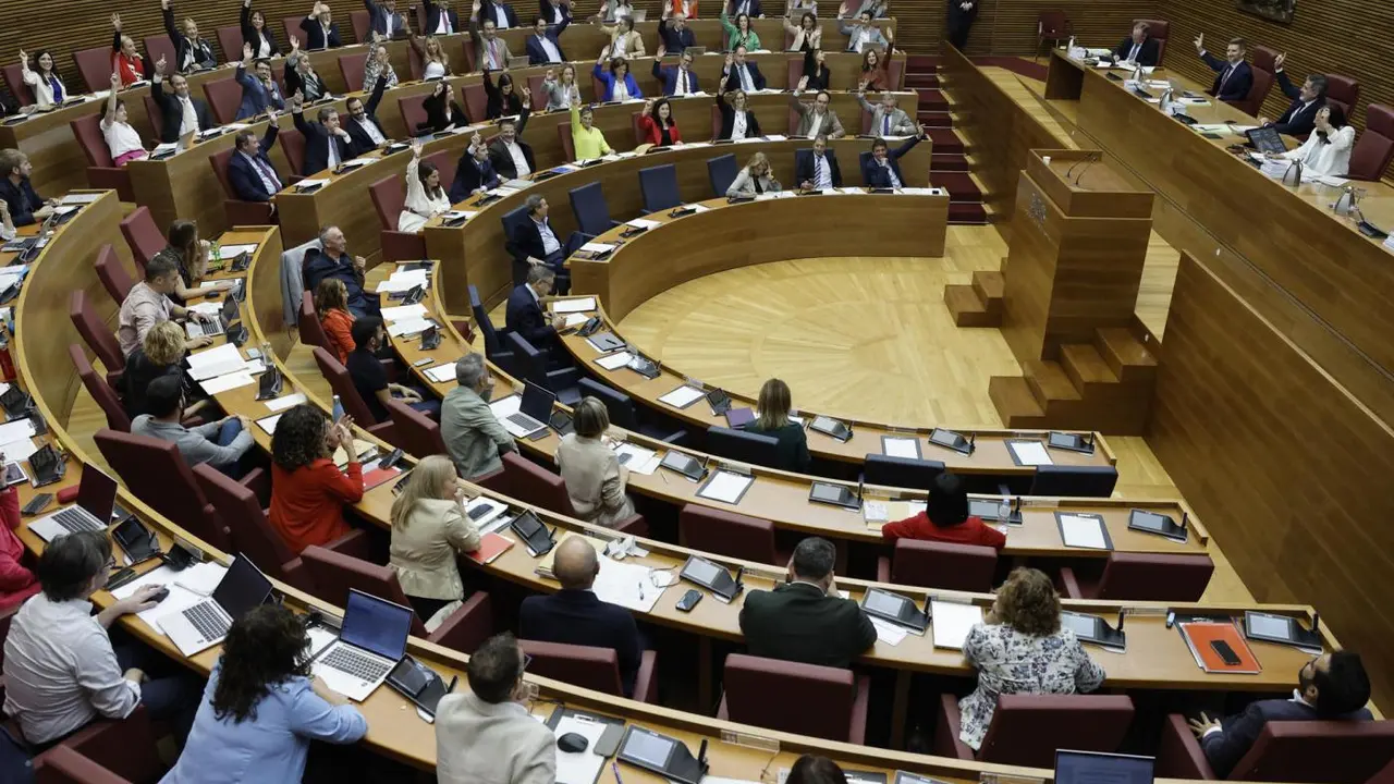 El pleno de Les Corts Valencianes - Kai Forsterling - EFE