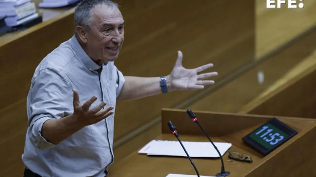 El diputado de Comprom&iacute;s Joan Baldov&iacute;. - EFE/Biel Ali&ntilde;o