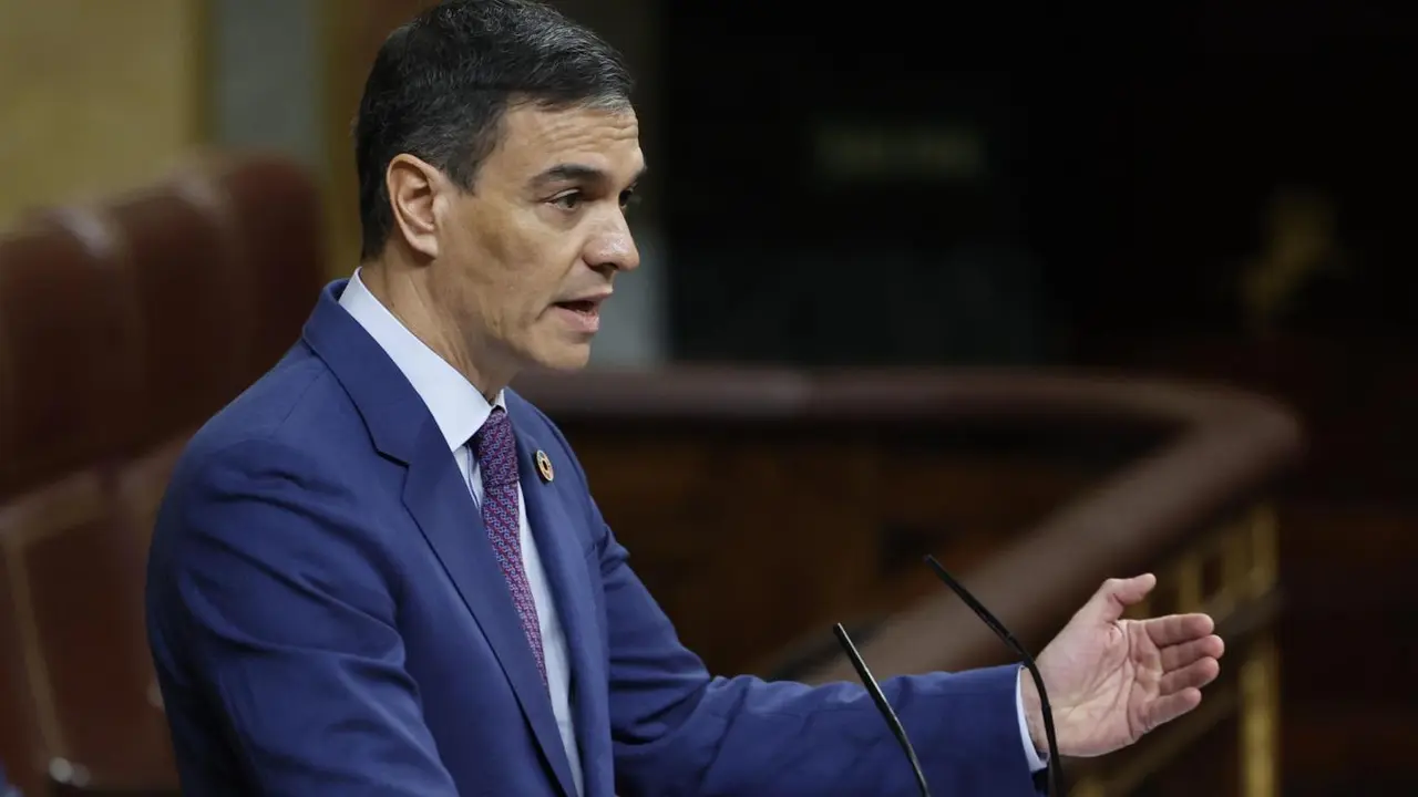 El presidente del Gobierno, Pedro S&aacute;nchez. - EFE/ Chema Moya