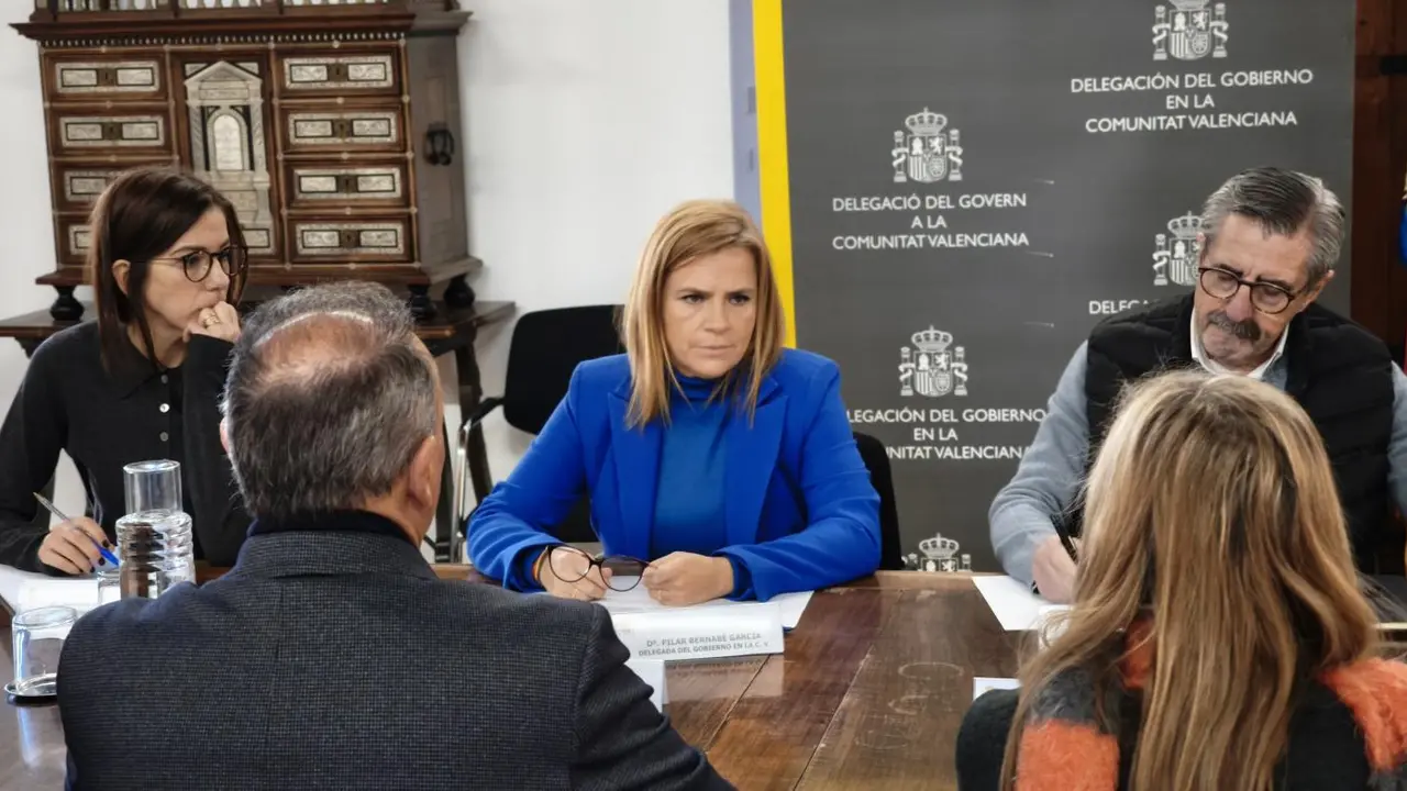 La delegada del Gobierno en la Comunitat Valenciana, Pilar Bernab&eacute;. - DELEGACI&Oacute;N DE GOBIERNO