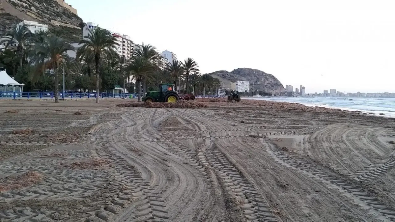 Playa del Postiguet en Alicante - AYTO DE ALICANTE