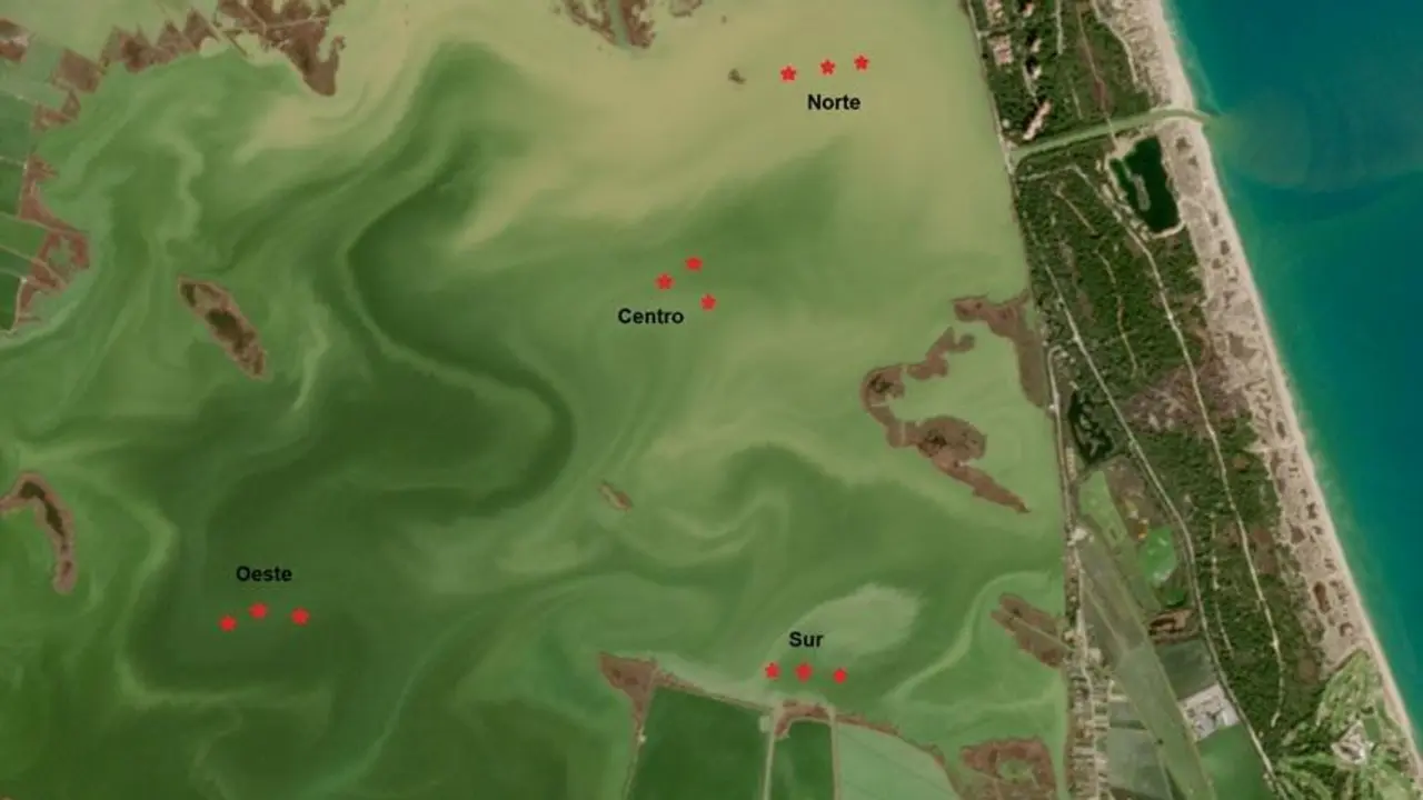 Mapa con la ubicaci&oacute;n en la Albufera de las doce muestras obtenidas. - UV