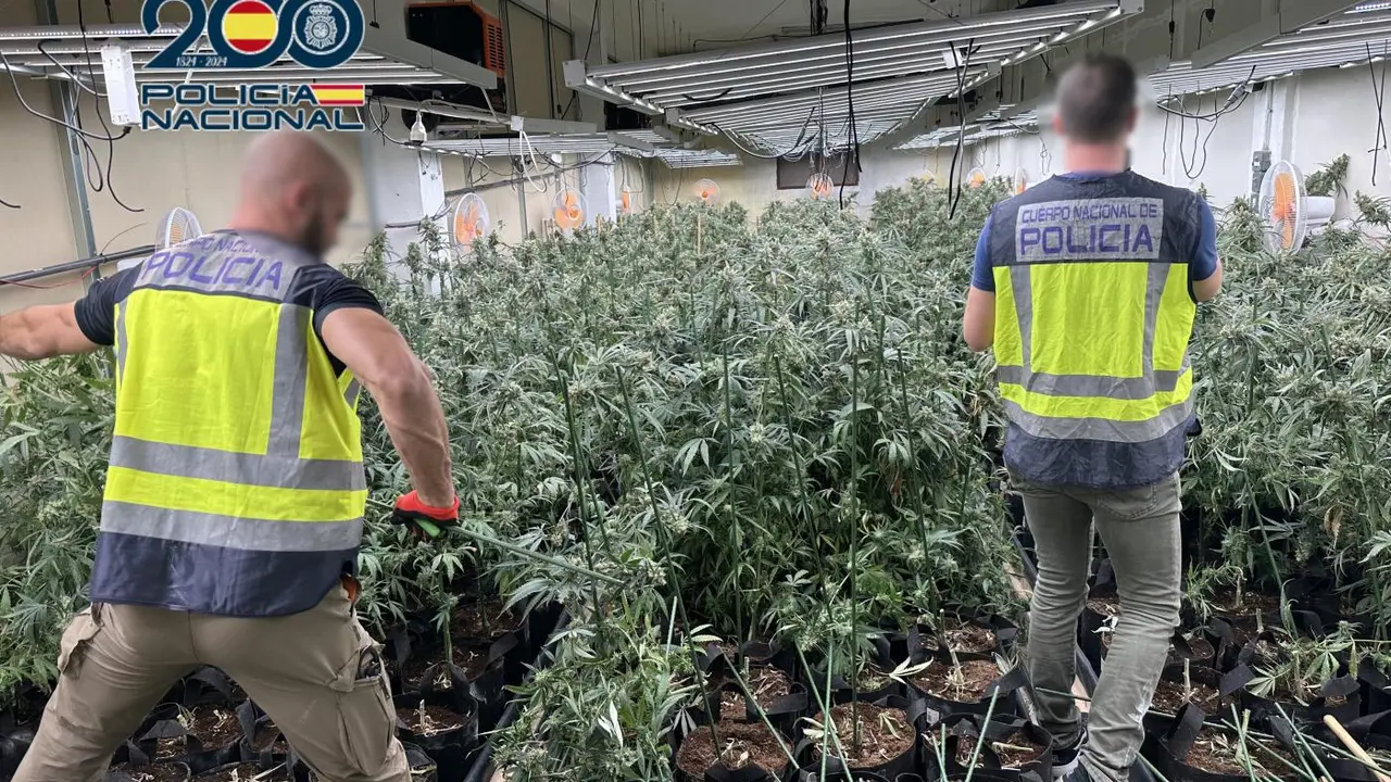 Tres detenidos e intervenidos 45 kilos de marihuana - POLIC&Iacute;A NACIONAL