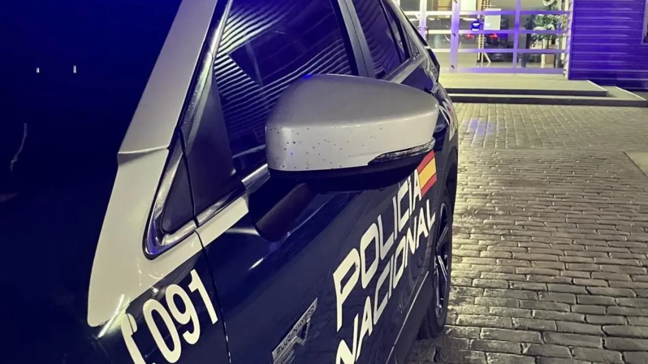 Imagen de archivo de la Polic&iacute;a Nacional  - POLIC&Iacute;A NACIONAL
