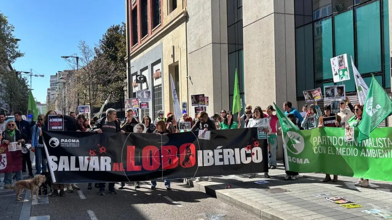 Manifestaci&oacute;n en contra de la caza del lobo ib&eacute;rico - EUROPA PRESS
