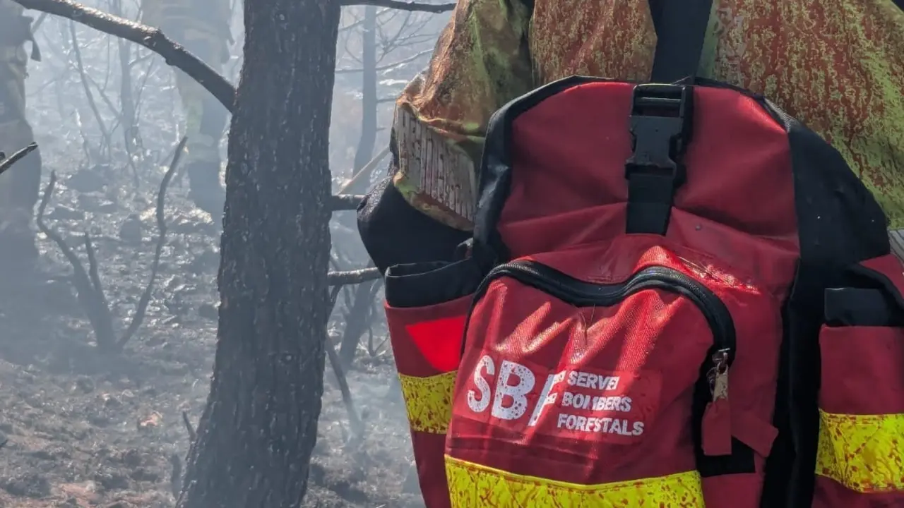 Un bombero forestal. | Europa Press.