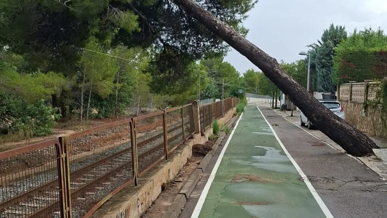 La ca&iacute;da de un &aacute;rbol sobre las v&iacute;as de la l&iacute;nea 2 de Metrovalencia provoca la interrupci&oacute;n de la circulaci&oacute;n entre Paterna y Ll&iacute;ria | FGV