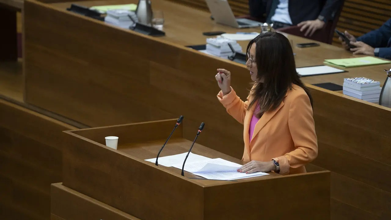 La portavoz de Justicia del PSPV-PSOE en Les Corts, Alicia And&uacute;jar. | EP