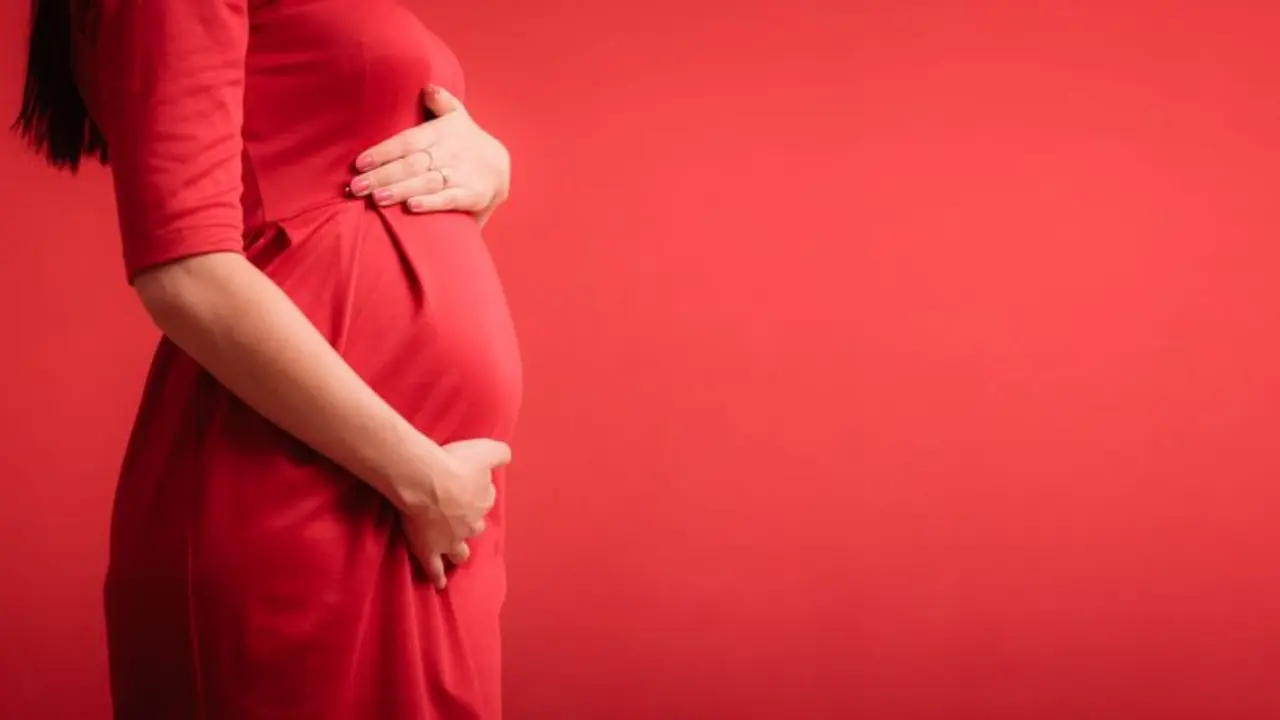 Mujer embarazada | Foto de 123RF/akz
