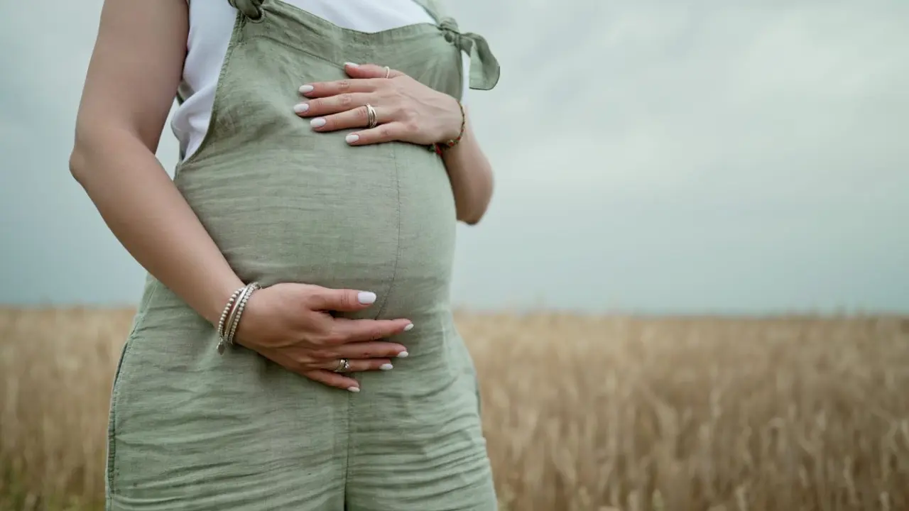 Mujer embarazada | Foto de 123RF/kohanova
