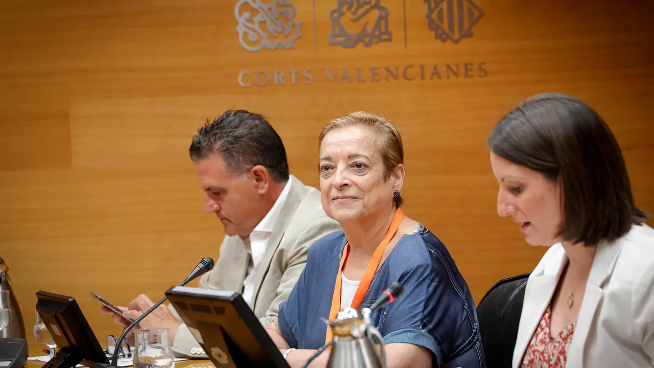 La exconcejala de Alicante Sof&iacute;a Morales comparece en la comisi&oacute;n de las VPP. | Europa Press