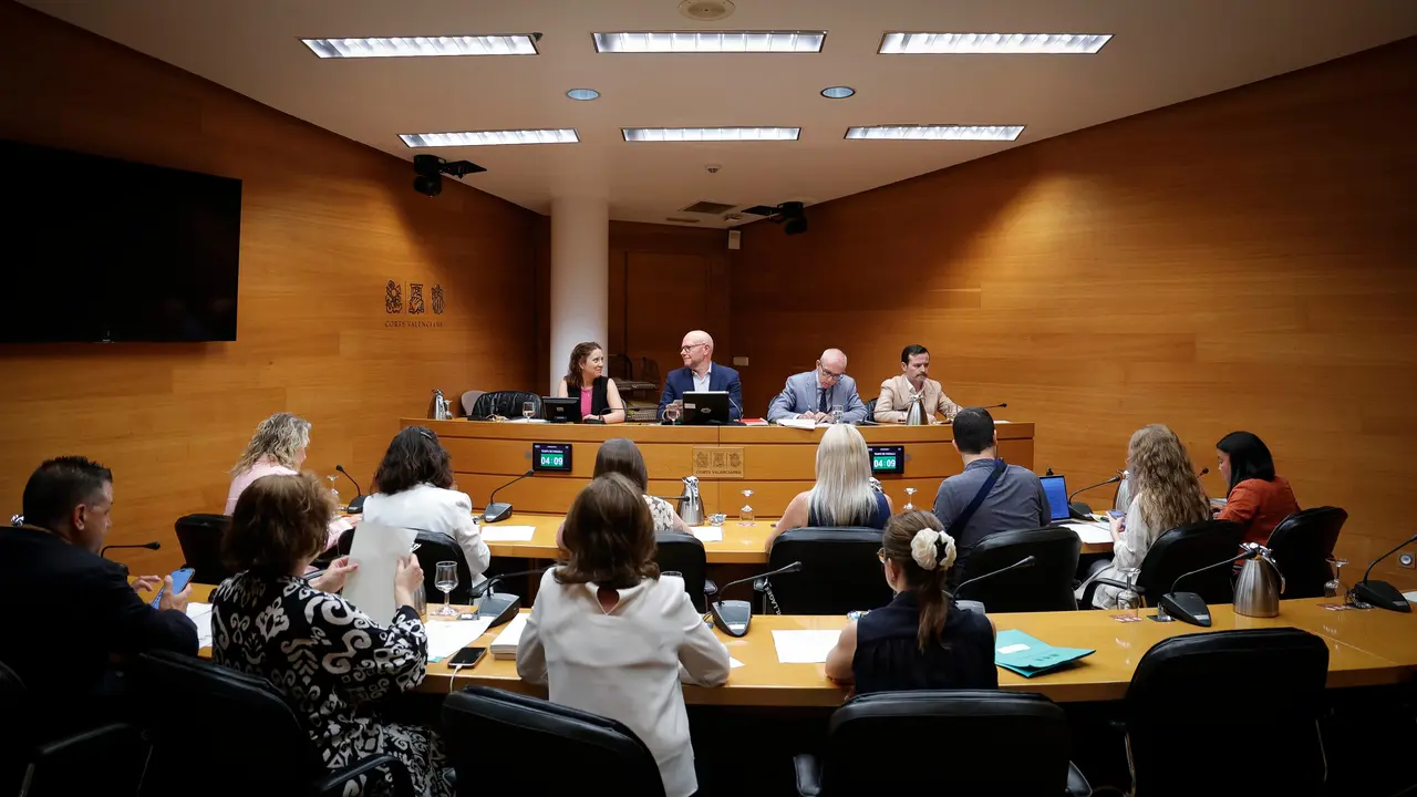 Comisi&oacute;n de Econom&iacute;a, Presupuestos y Hacienda de Les Corts. | Europa Press