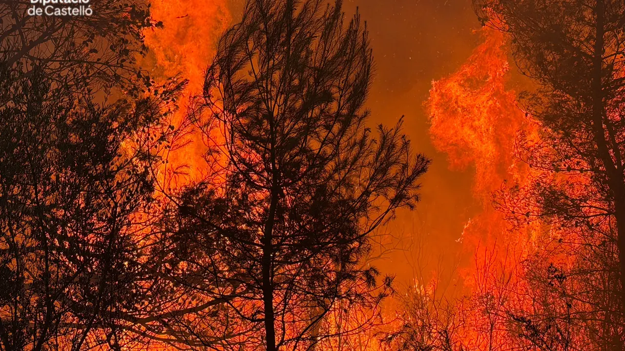 Incendio forestal declarado en la localidad castellonense de la Vall d'Uix&oacute;. | Europa Press.
